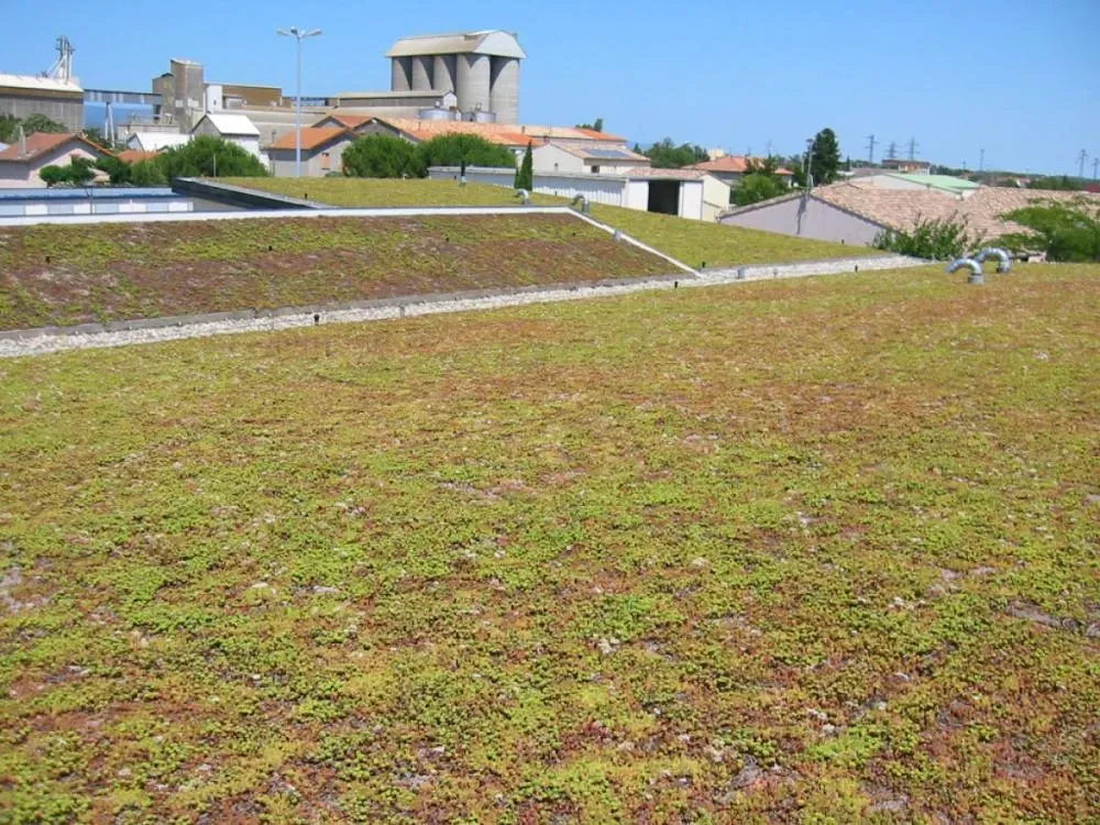 Travaux neuf à Villemoustaussou